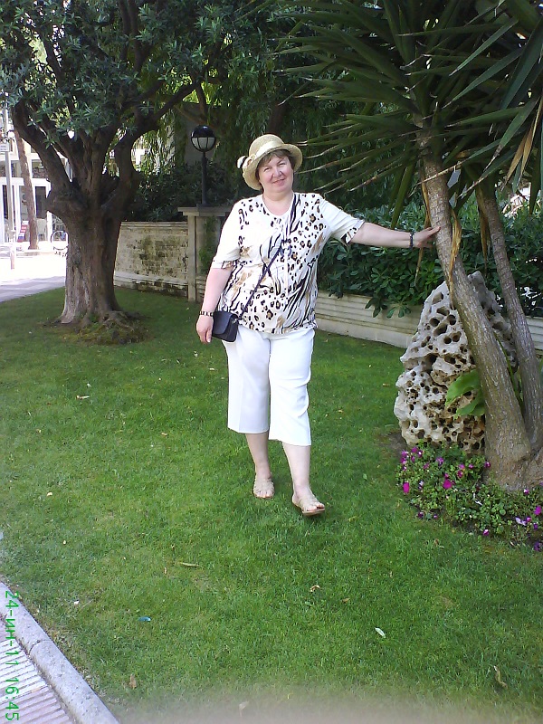 ���� ������