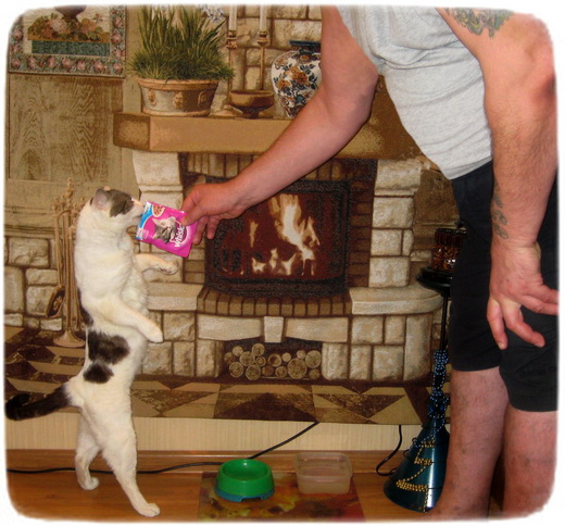 ������� �� ���