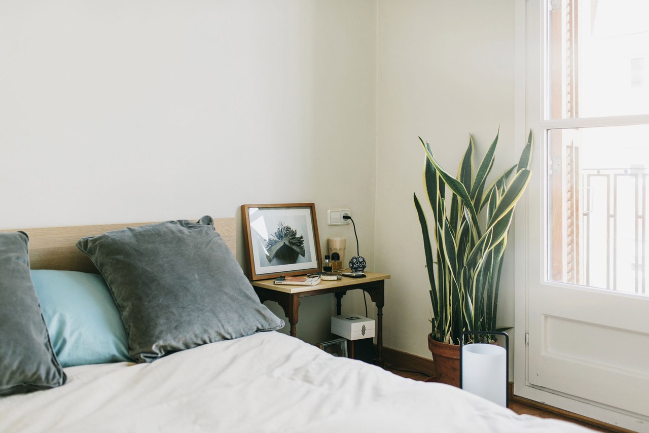 ������ �����������