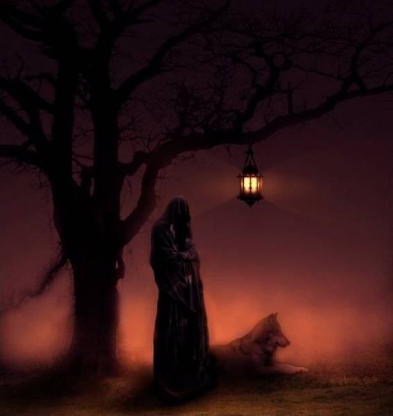 ��������� ����������