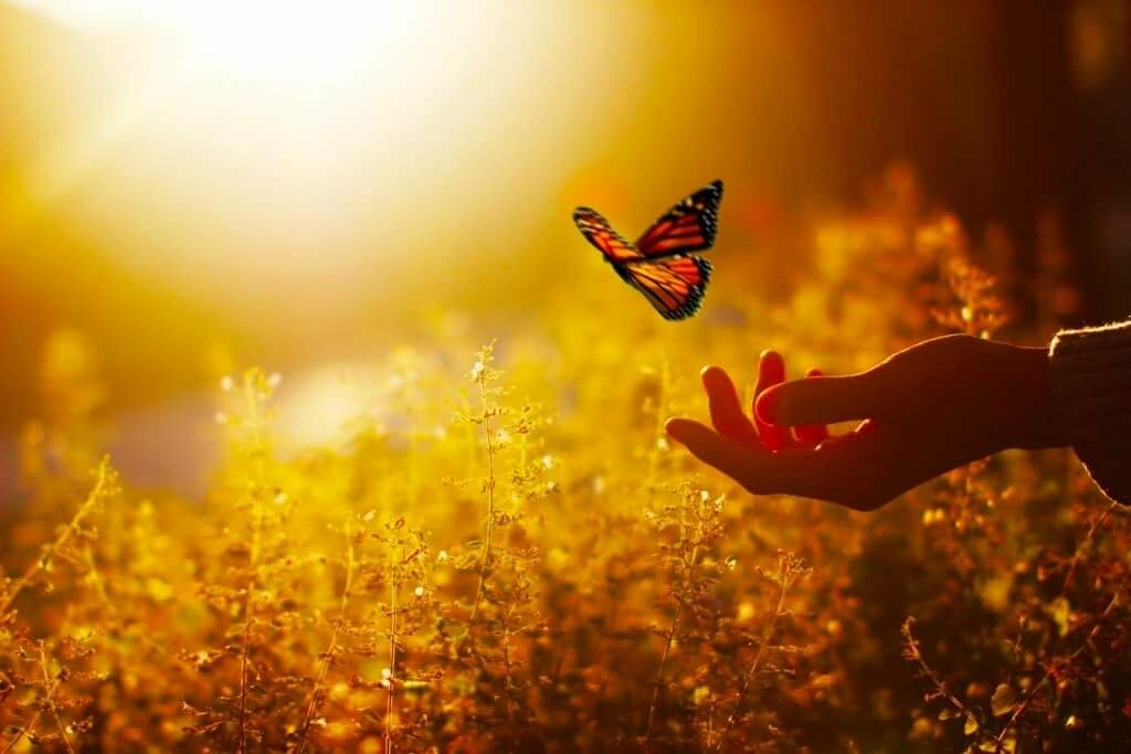 ����� ����