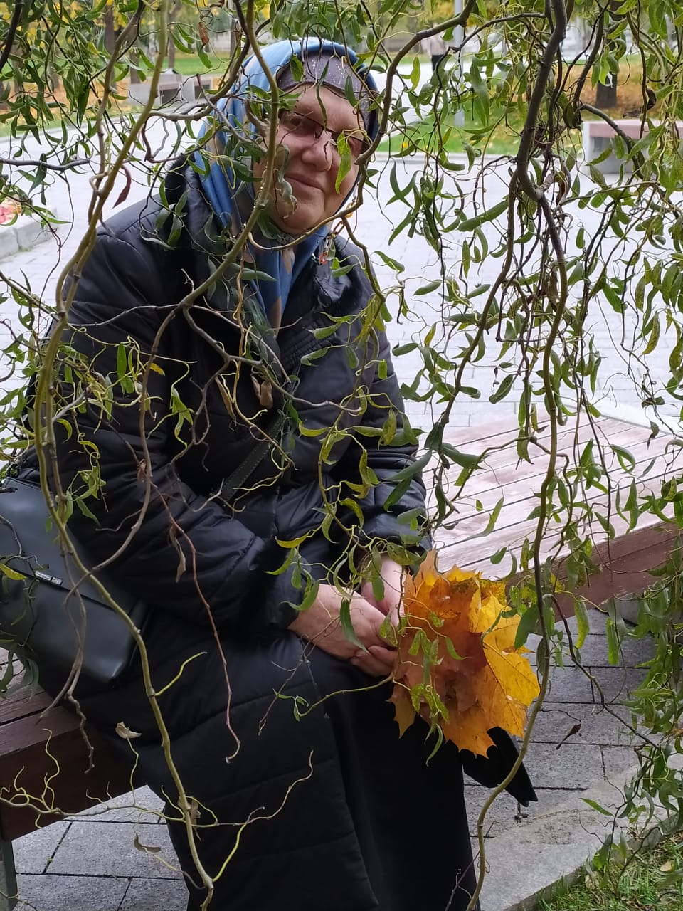 ���� �������