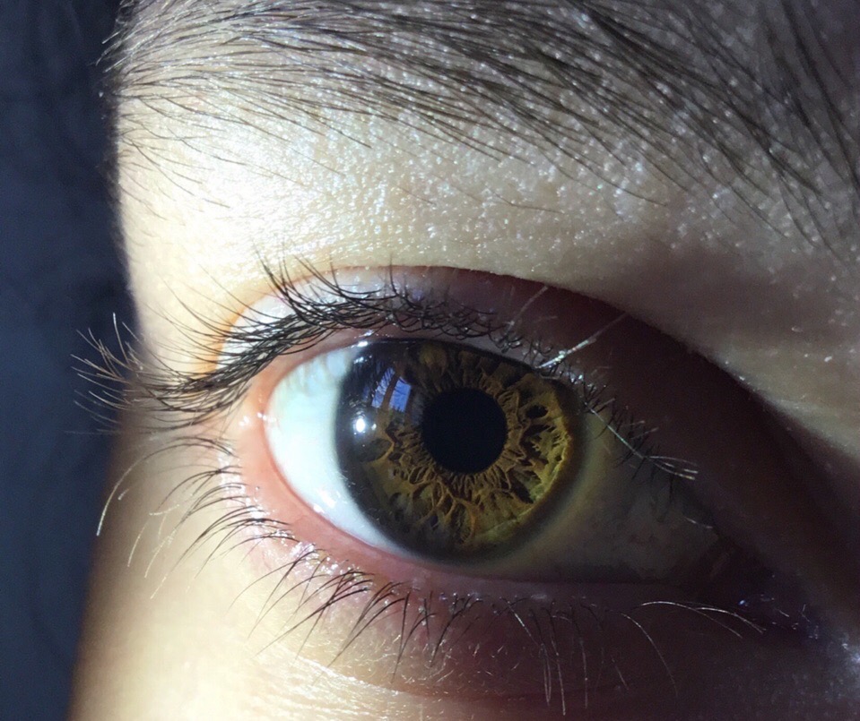 ����� ��������� ���������