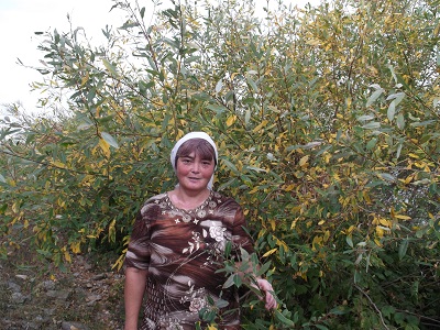 ����� ������������