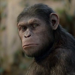 ��� �����