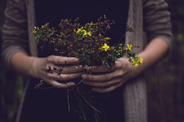 Евгения Мюллер