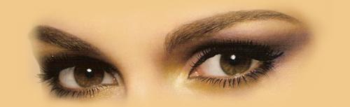 ���� ����