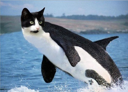 ������� �������