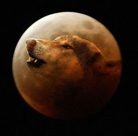 ������� ����