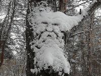 Дед Сто Лет