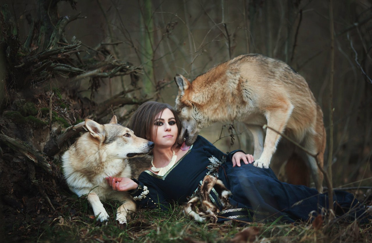 ����� �����������