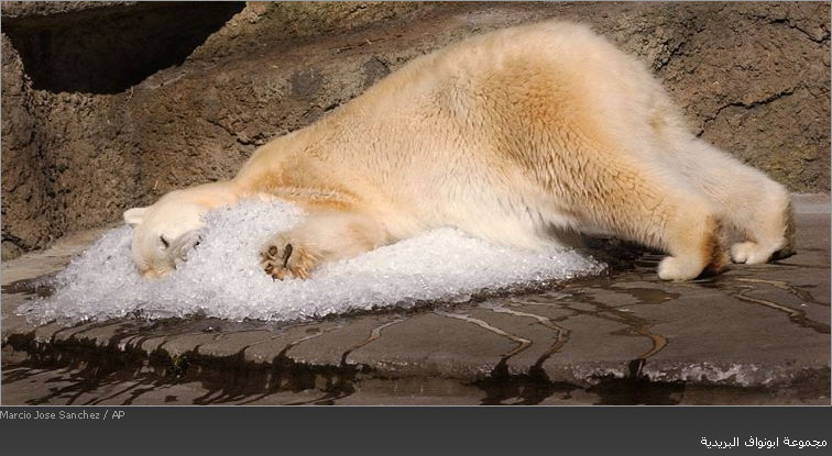 ����� ���