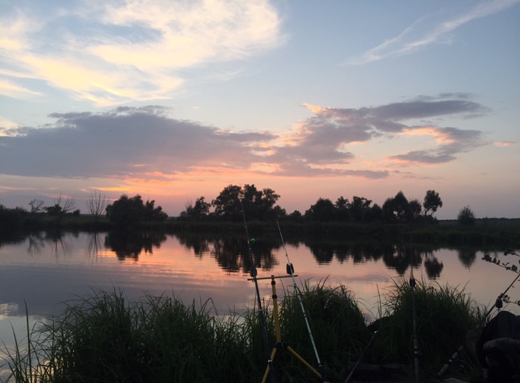 ������� ���