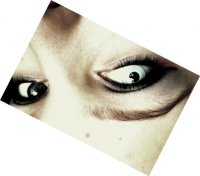 ���� ������