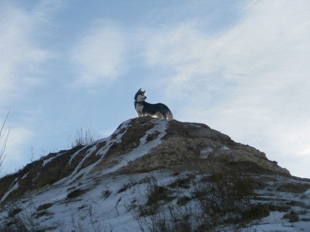 ���� �������