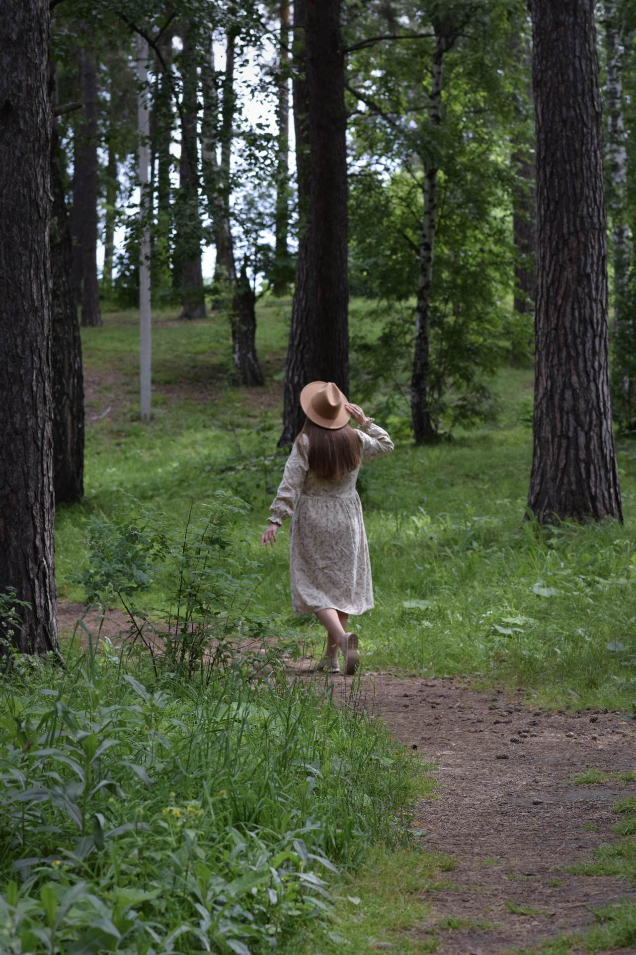 ������ ��������