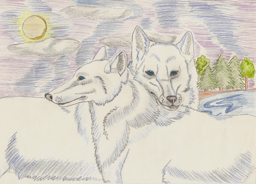 ��������� ����������