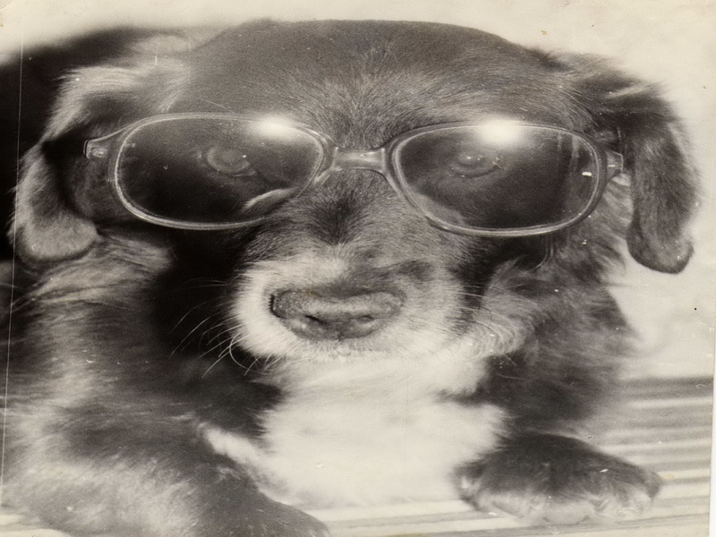 ����� ��������