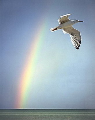 ���� �������