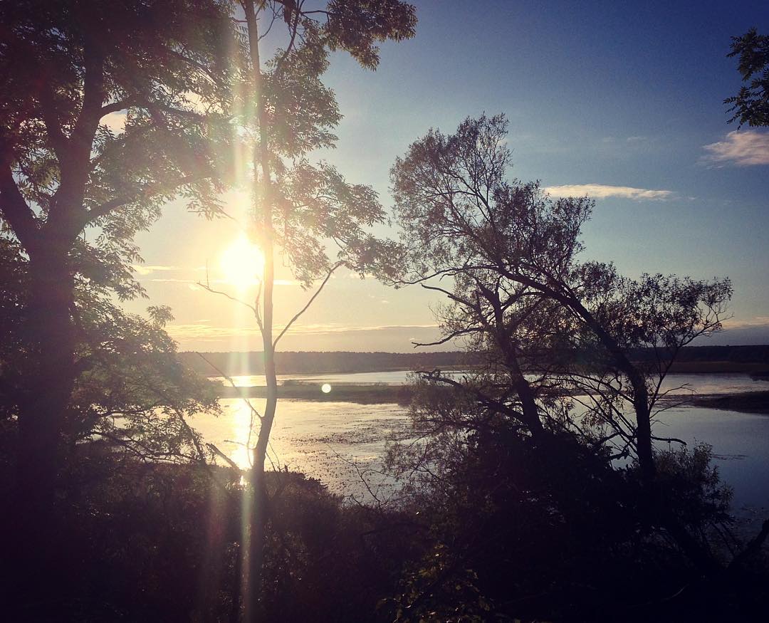 ���� �������