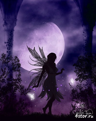 ���� �����