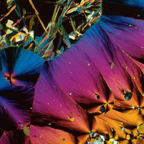 Динна Фэнтези