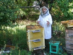 Михаил Андроник