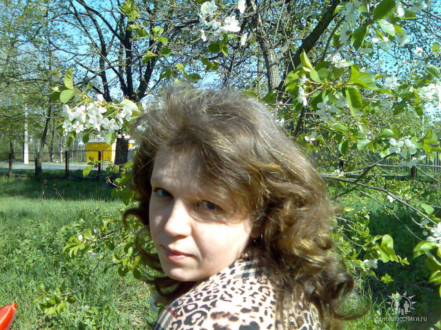 ���� ���������