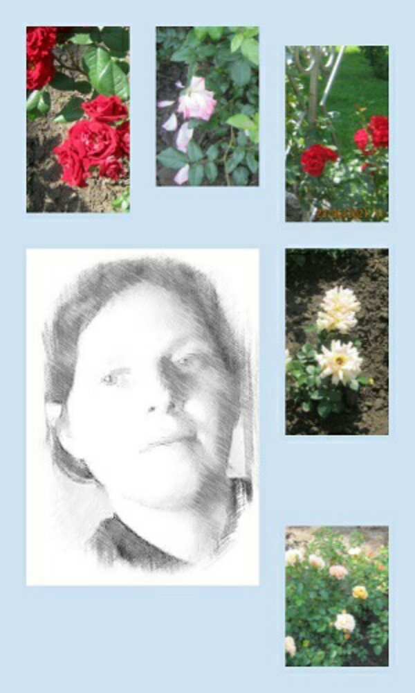 ������ ����������