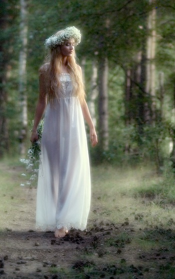 ������ ����