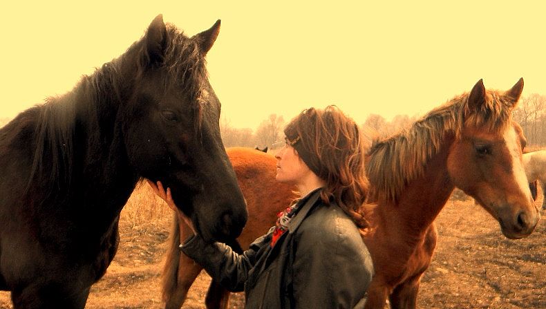 ���� ���������