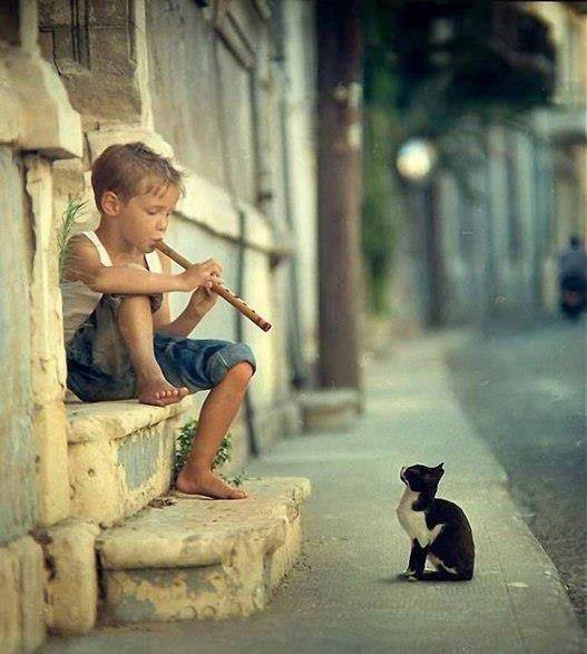 ����������� ����