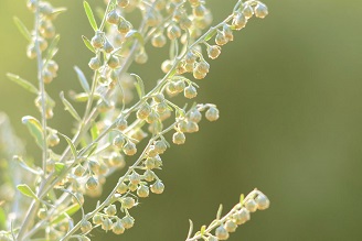 ���� �����������