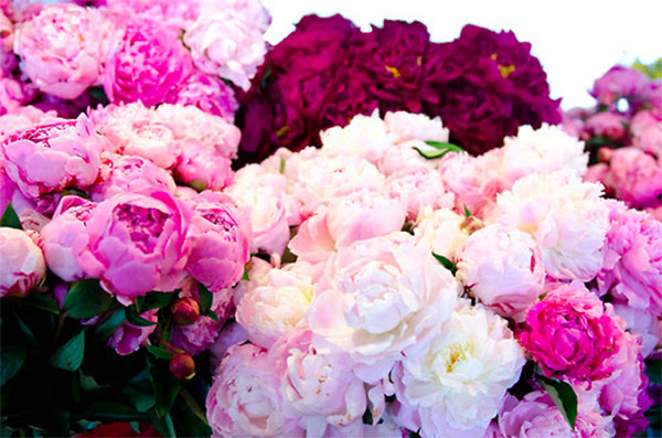 �������� ��������� ���������