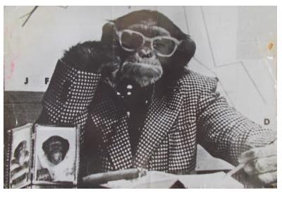 ����� �����