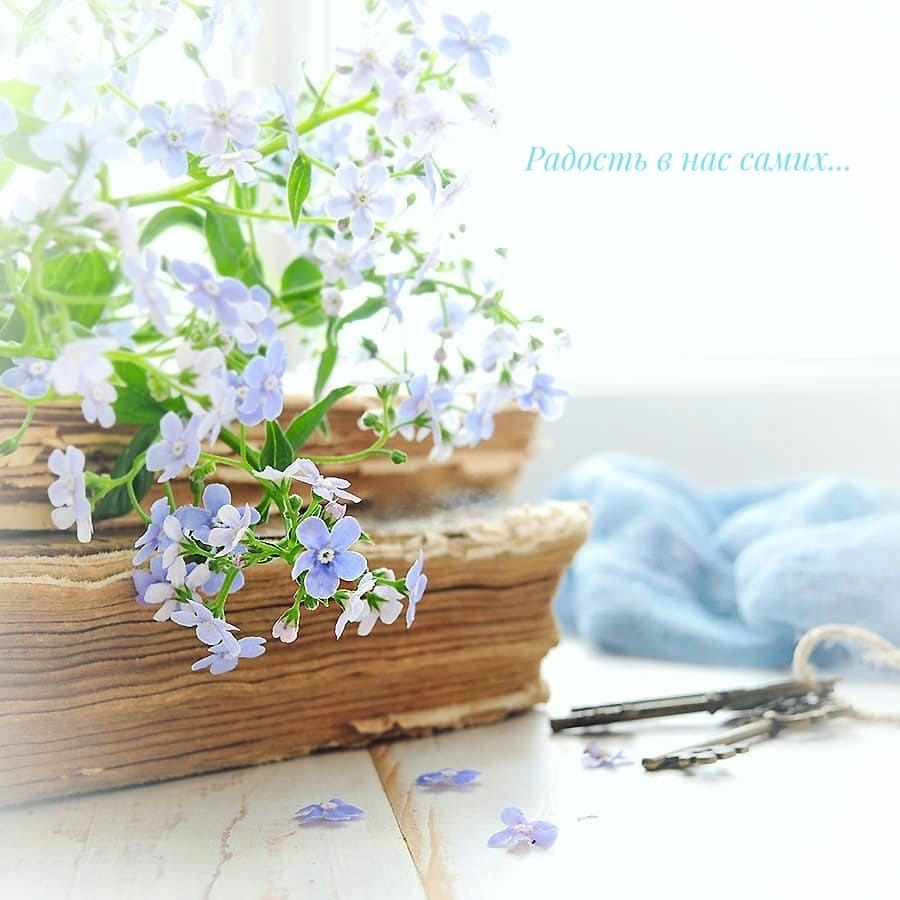 ����� ����