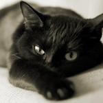 Эдуард Дождливый Четвёртый