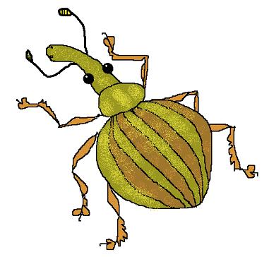 ��� ����������