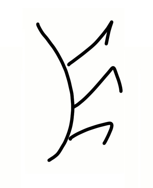 ��� ������