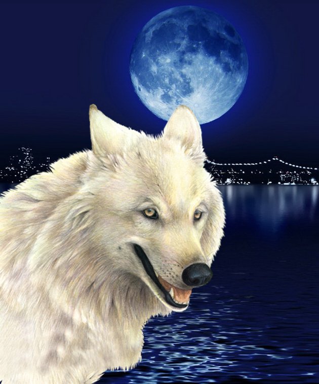 ������ �����