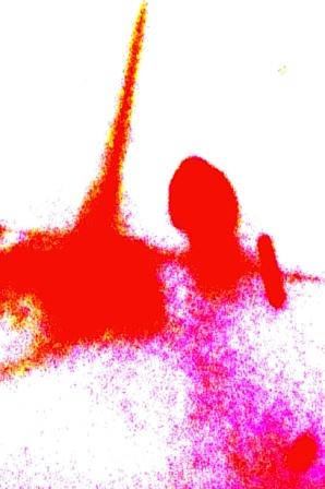 Юлия Дорофеева 2