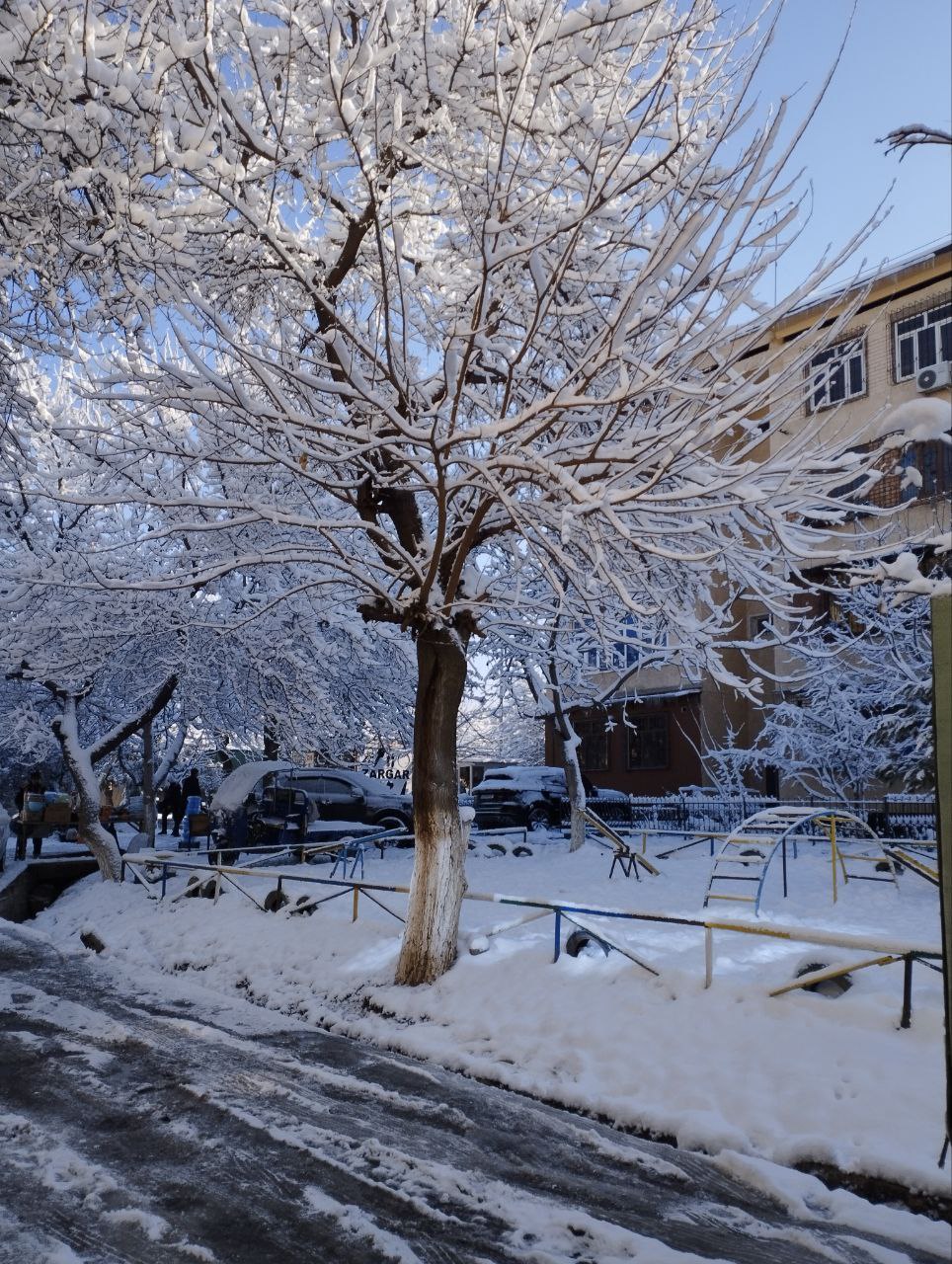 ��� ���������