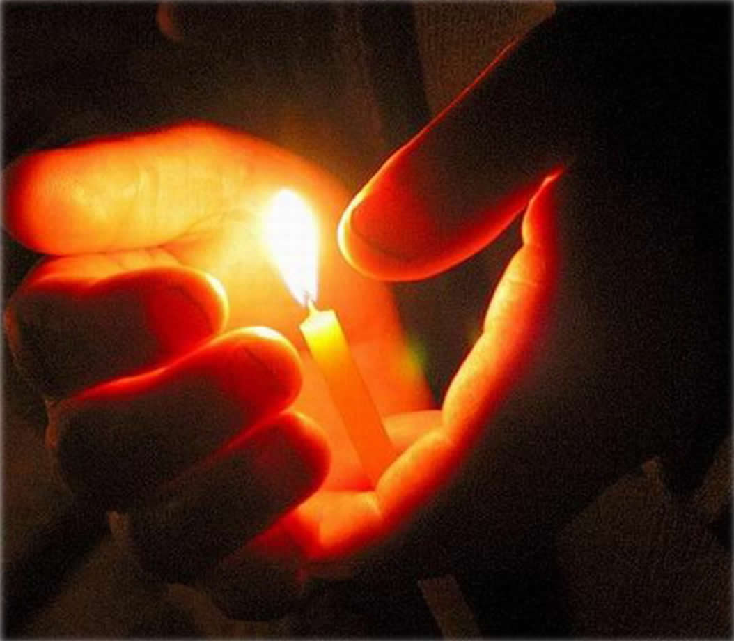 ������ ������