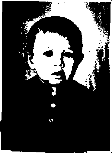 ���� �����������