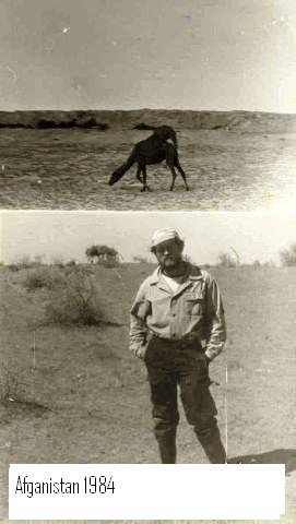 ��������� �����