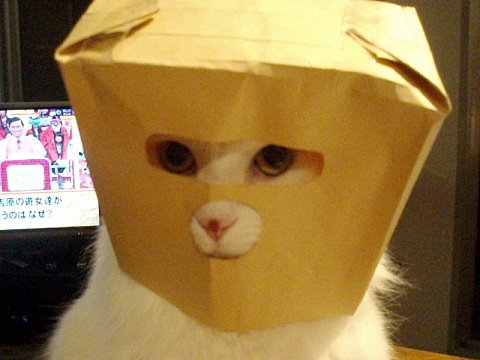 ����� ����� ������
