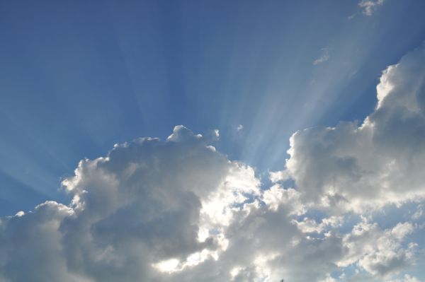 ������ ��������