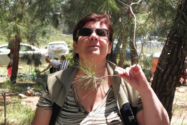 ������� ��������