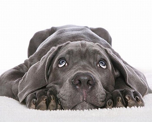 ���� -�����