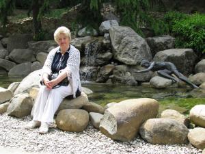 ���� ���������